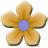 fleur 2